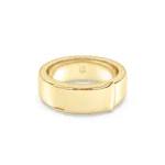 6mm Adjustable Goldilock Shank