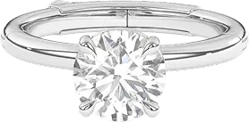 Dual Metal Multi-Stage Locking Ring
